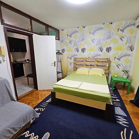 Apartman Yellow House Apartment โนวีซาด ภายนอก รูปภาพ